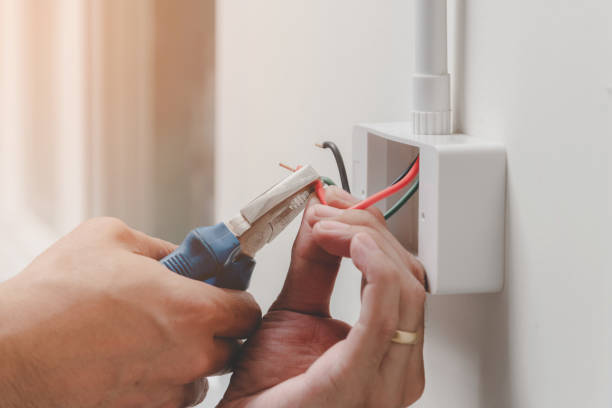 Best Commercial Electrical Services  in Frazee, MN